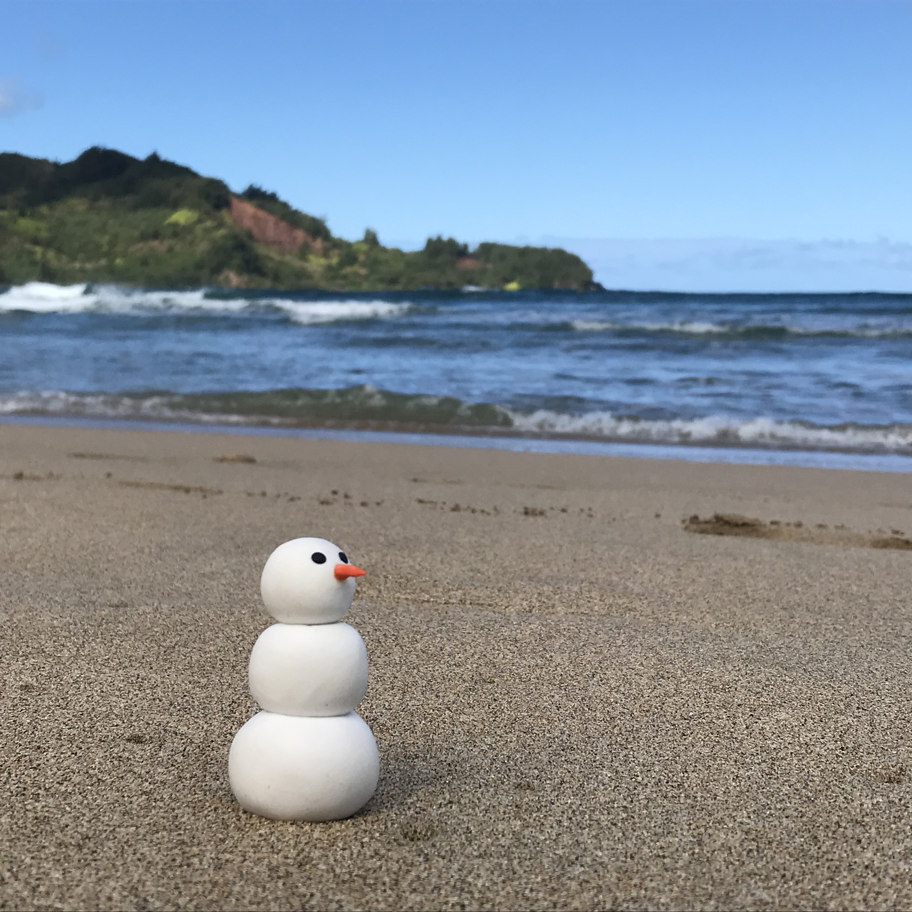 Tiny Snowman Goes to Kauai